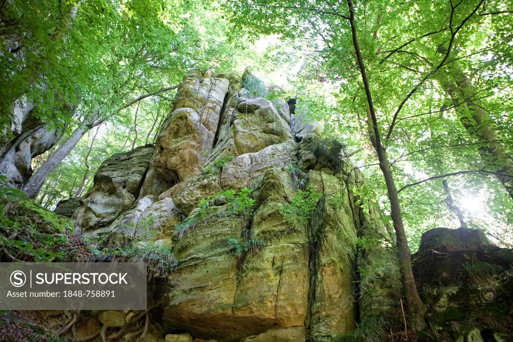 Wild rocky landscape with sandstone cliffs, Little Switzerland or Muellerthal, German-Luxembourg Nature Park, Grand Duchy of Luxembourg, Europe, Publi...