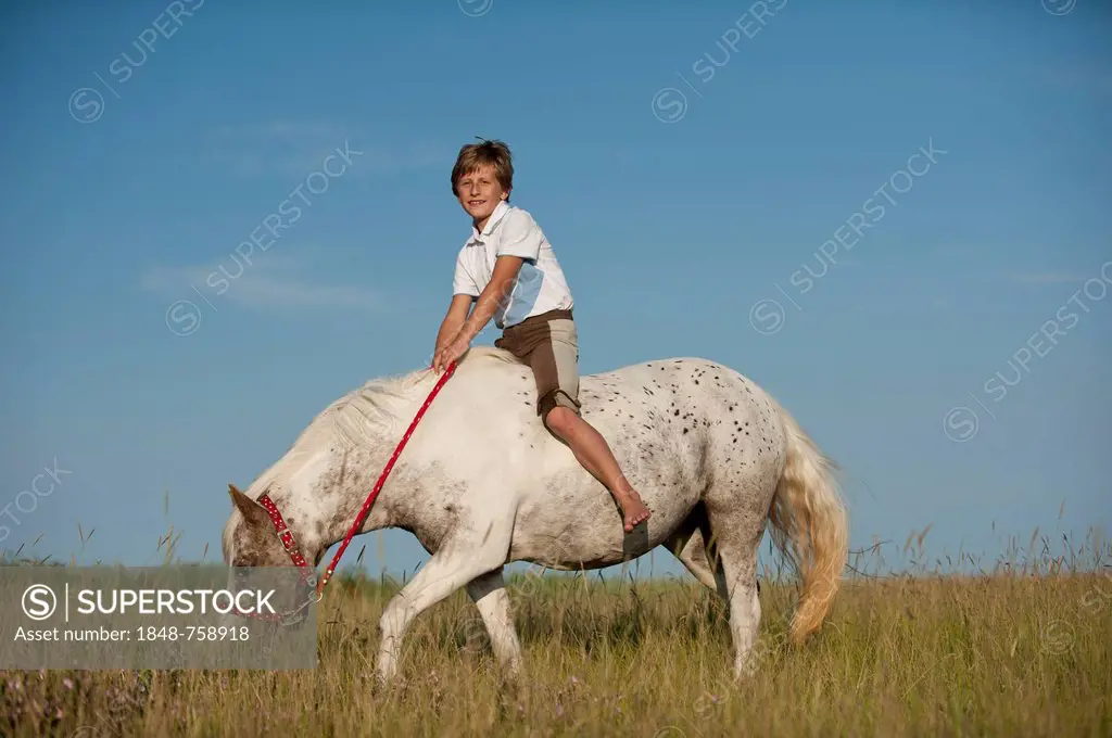Girl riding a pony across a meadow
