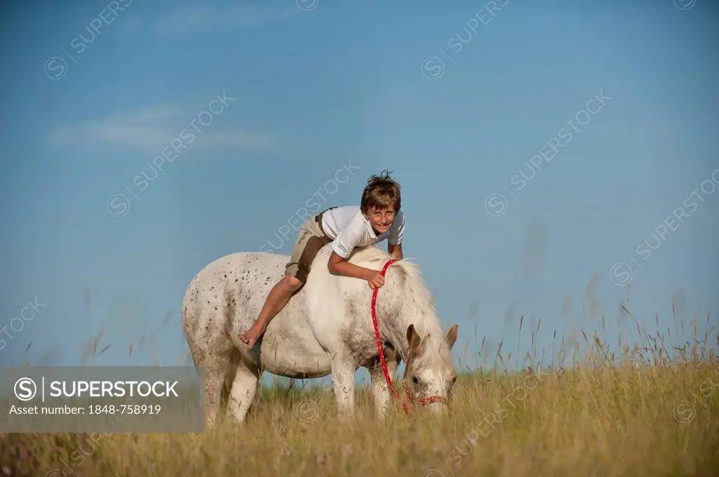 Girl riding a pony across a meadow