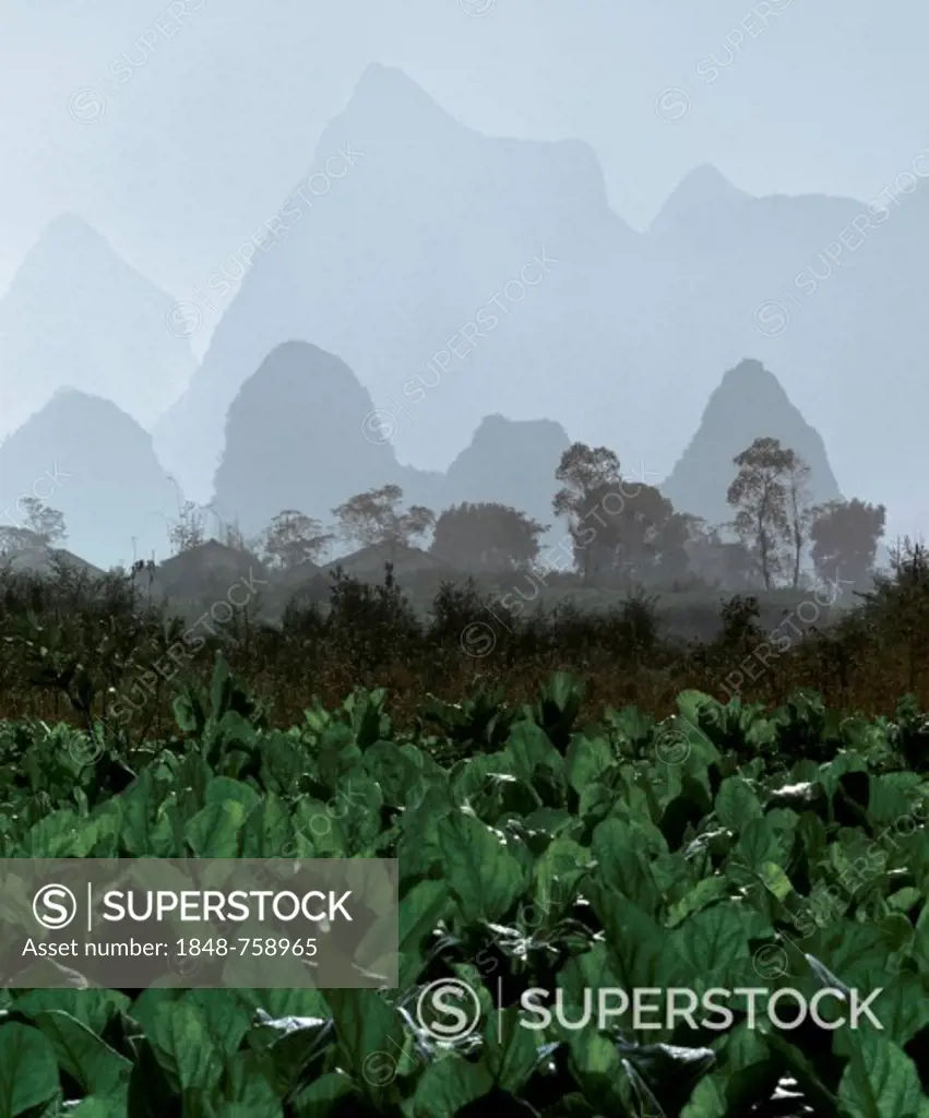 Karst mountain landscape and agriculture near Yangshuo, Guilin, Guangxi, China, Asia