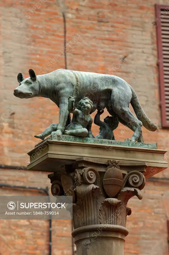 Romulus and Remus statue, Piazza Tolomei square, UNESCO World Heritage Site, Siena, Tuscany, Italy, Europe