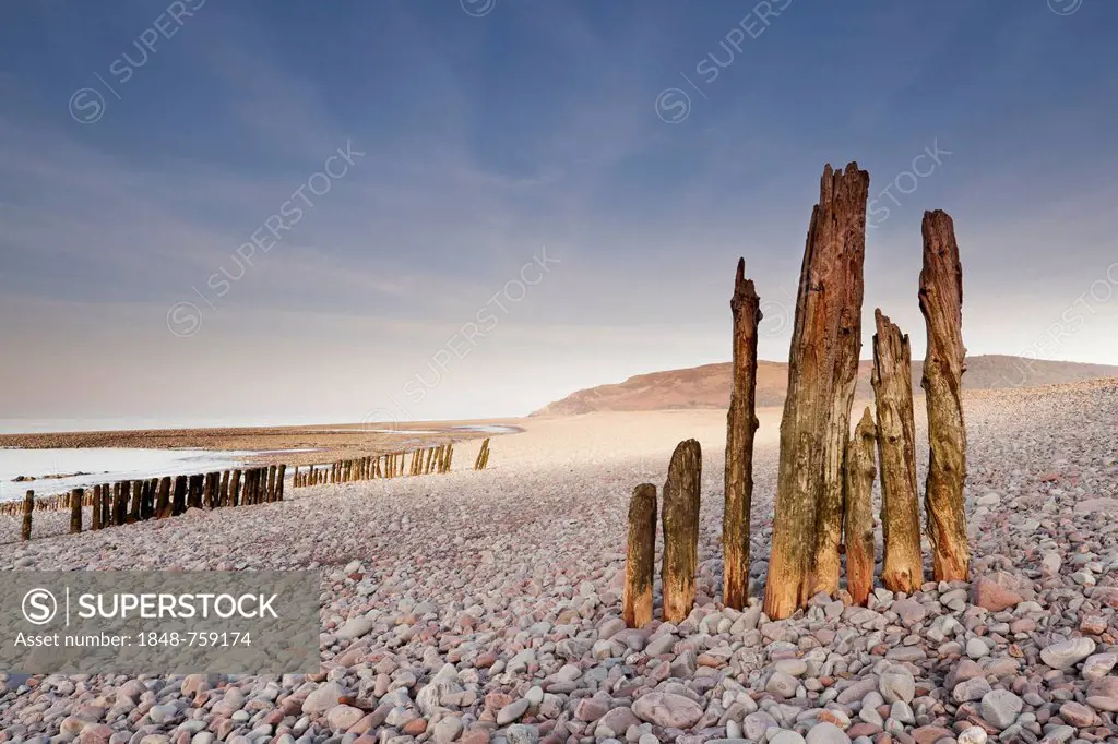 The remains of some old groynes on the beach from Porlock Weir, in the direction of Porlock Marshes, with Bossington Hill at back, England, United Kin...