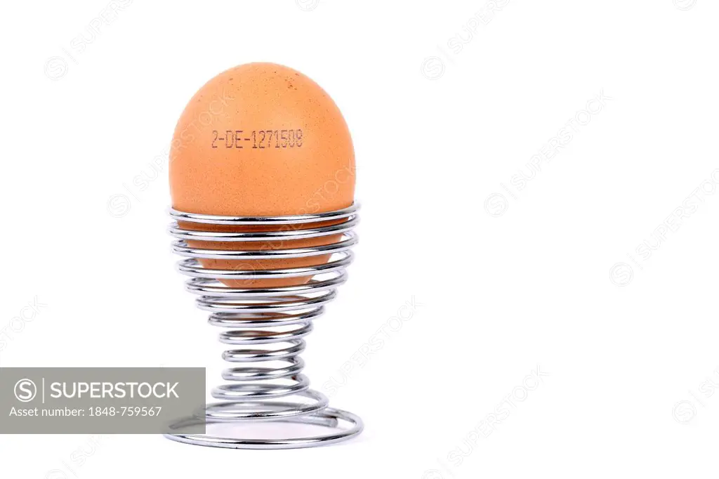 Brown egg with the producer code in egg cup