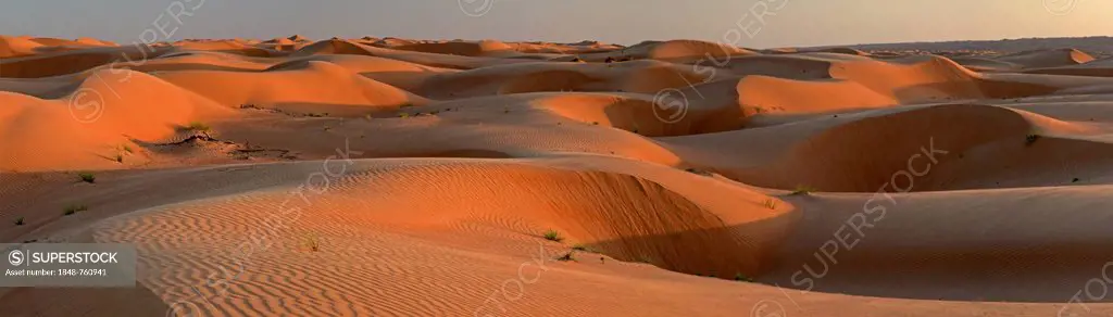 Sand dunes in the evening light