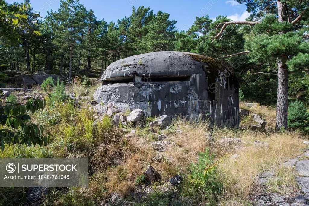 Old German bunker from the Second World War, in the woods