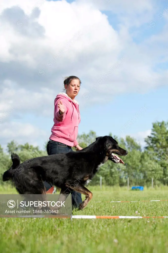 Woman longeing a mixed-breed dog