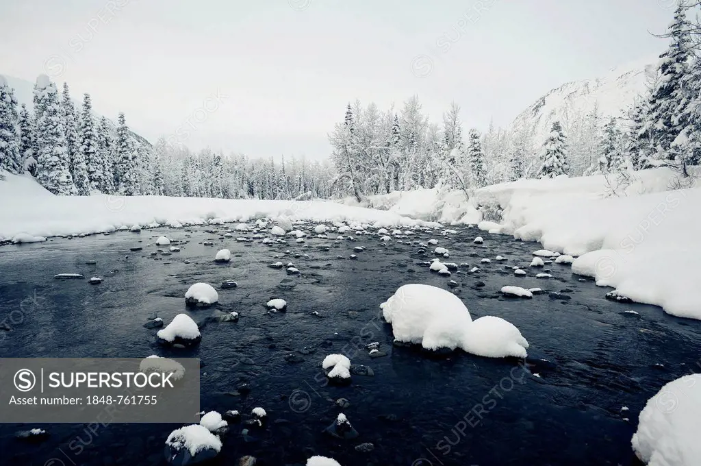 Bench Creek in winter, Alaska