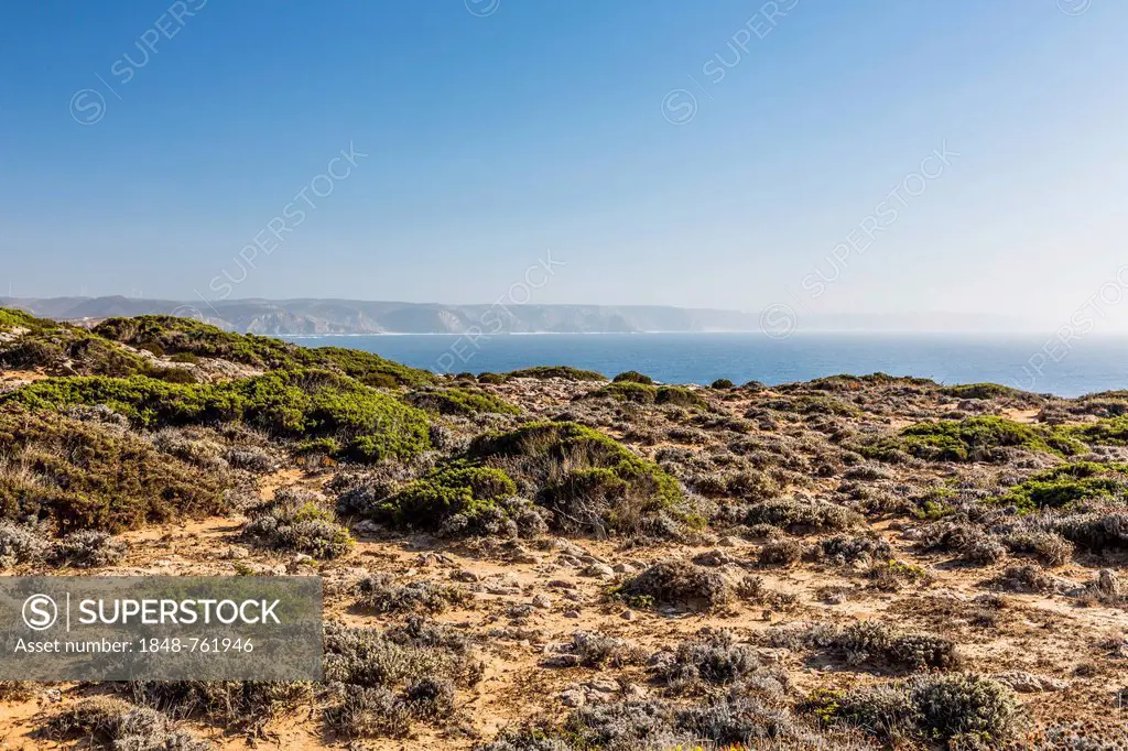 Praia do Amado, Carrapateira, Algarve, West Coast, Portugal, Europe