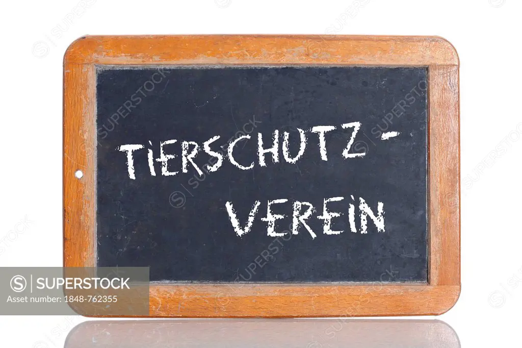 Old school blackboard with the term TIERSCHUTZVEREIN, German for animal welfare association