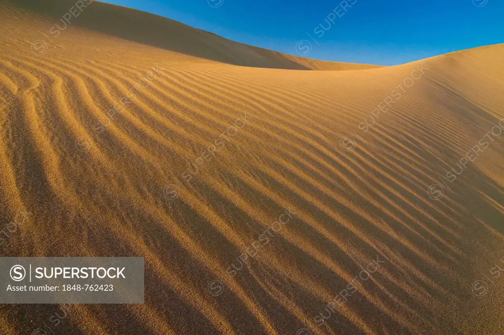 Desert landscape in the Danakil Depression