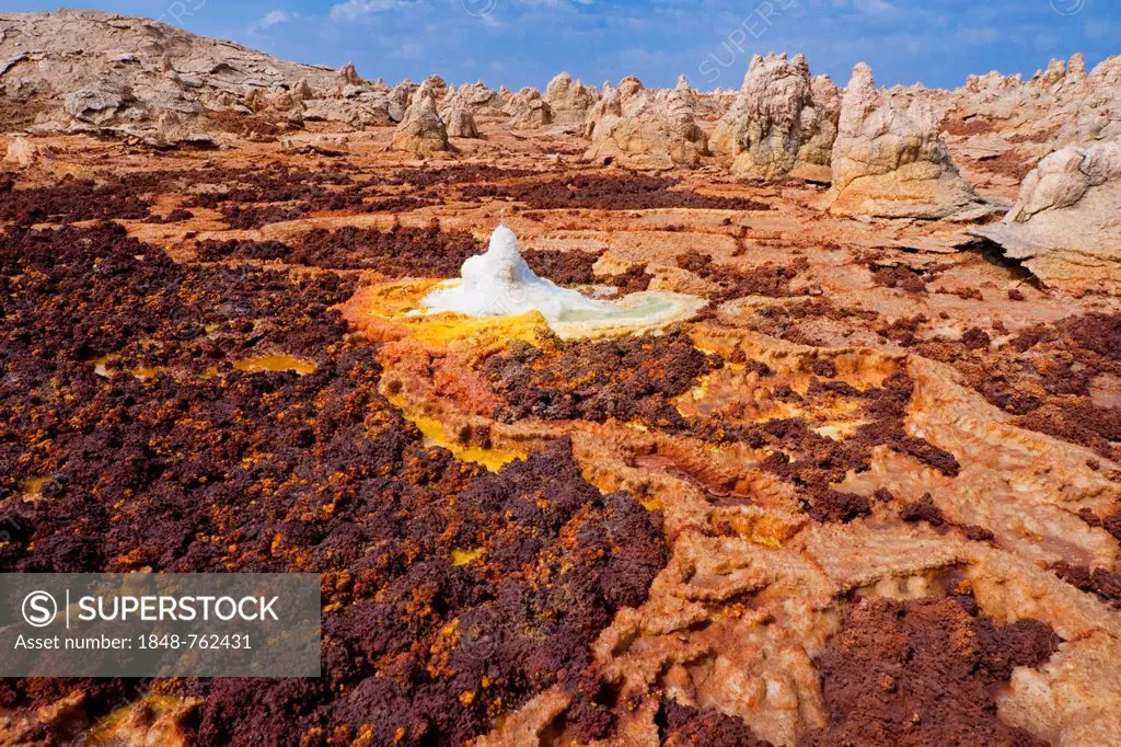 Landscape shaped by hydro-thermal activity at the Dallol volcano