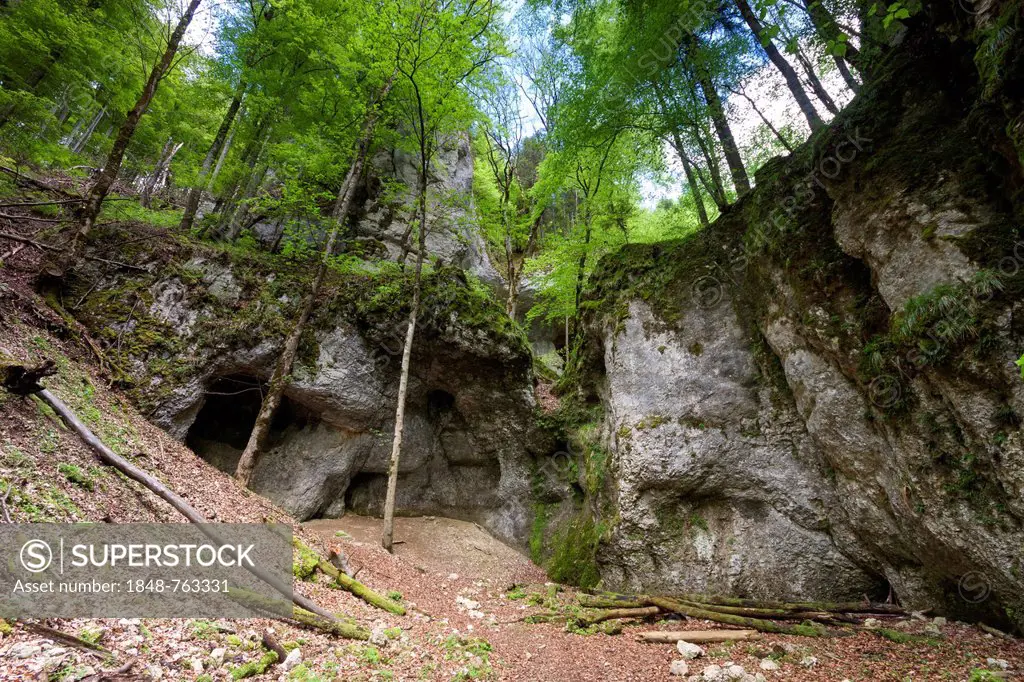 Grotto in the Danube Valley below Burg Wildenstein Castle, Sigmaringen district, Baden-Wuerttemberg, Germany, Europe