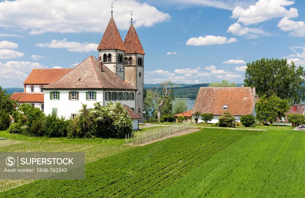 Church of St. Peter and Paul in Niederzell on the island of Reichenau, Lake Constance, Baden-Wuerttemberg, Germany, Europe, PublicGround