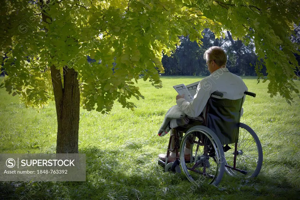 Elderly man sitting and reading a book in a wheelchair under a deciduous tree, Hagen, Lower Saxony, Germany, Europe
