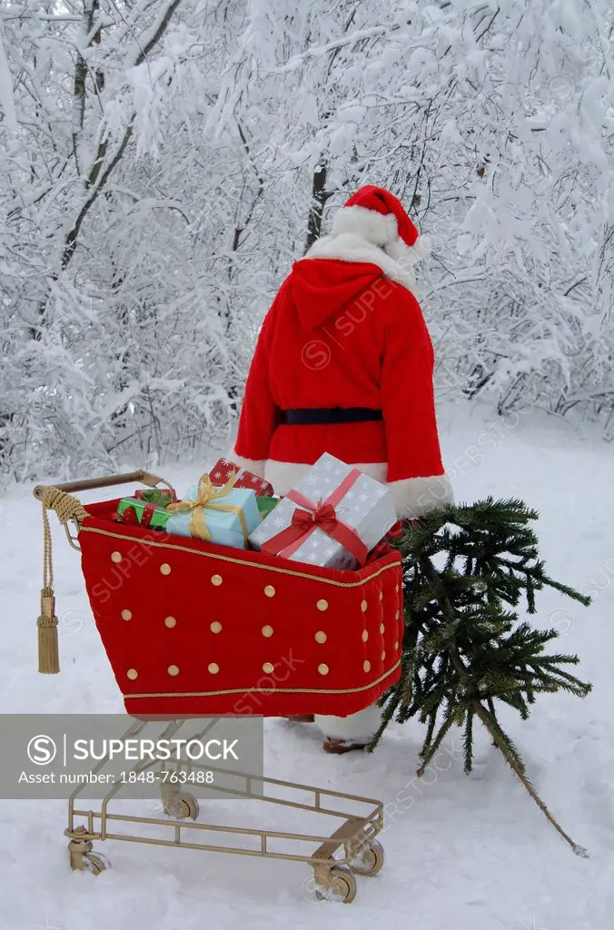 Santa Claus with a Christmas tree in a snowy forest with a shopping cart with red velvet and gifts in the foreground