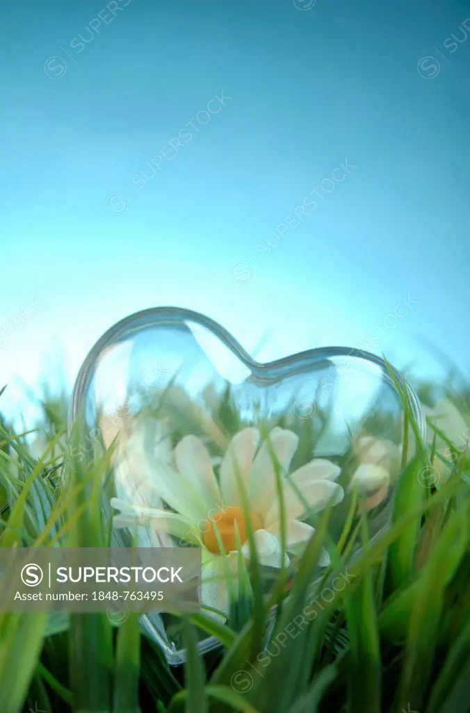 Transparent heart with a flower lying in a meadow