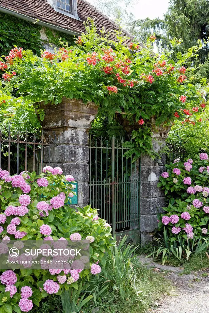 Flowers growing around fence, Curemonte, labelled Les Plus Beaux Villages de France, Dordogne valley, Corrèze, Limousin, France, Europe