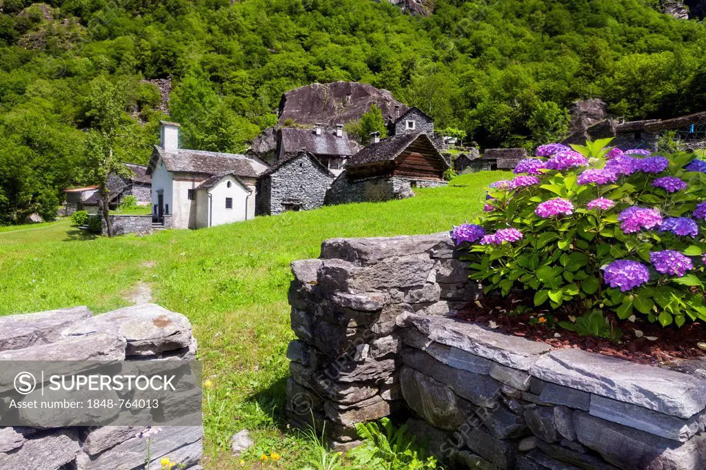View of the hamlet of Sabbione with chapel, Bavona Valley, Val Bavona, Maggia Valley, Valle Maggia, Ticino, Switzerland, Europe