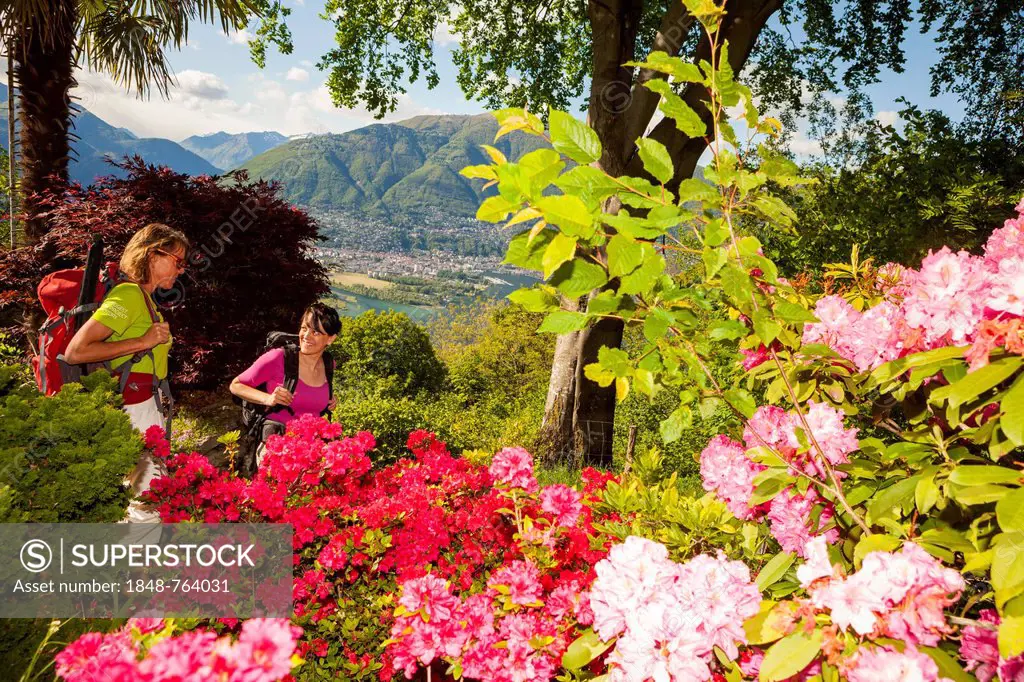 Two women hiking, floral splendour at the place of power Sass da Gruem, Ticino, Switzerland, Europe