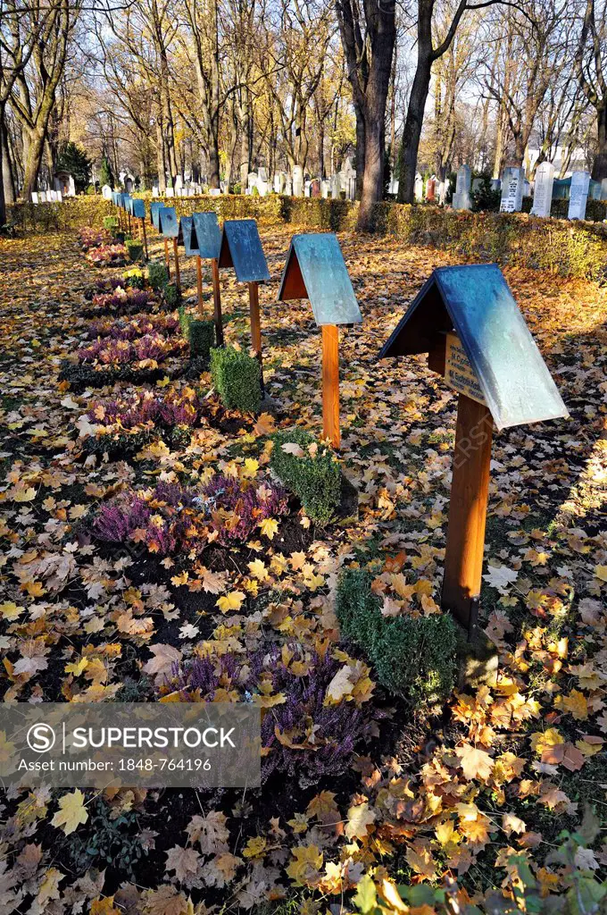 Graves with autumn leaves, Ostfriedhof, East Cemetery, Munich, Bavaria, Germany, Europe
