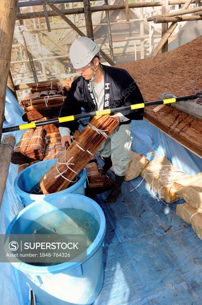 Cypress bark is soaked in water prior to thatching, a roofer is fetching soaked cypress bark from a water tub to nail it to the roof later, Kamigamo S...