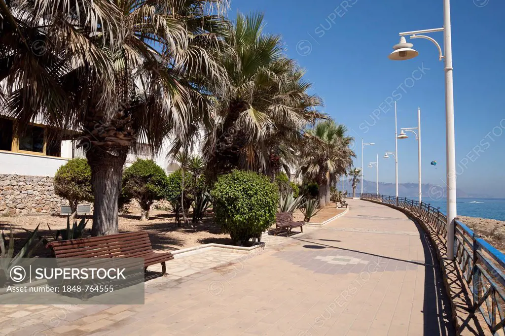Beach promenade lined with palm trees, Nerja, Costa del Sol, Andalusia, Spain, Europe, PublicGround