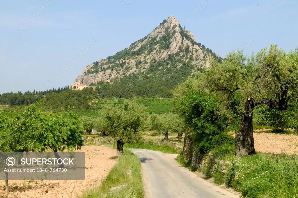 The Santa Barbara mountain and the Sant Salvador monastery, Horta de Sant Joan, Catalonia, Spain, Europe