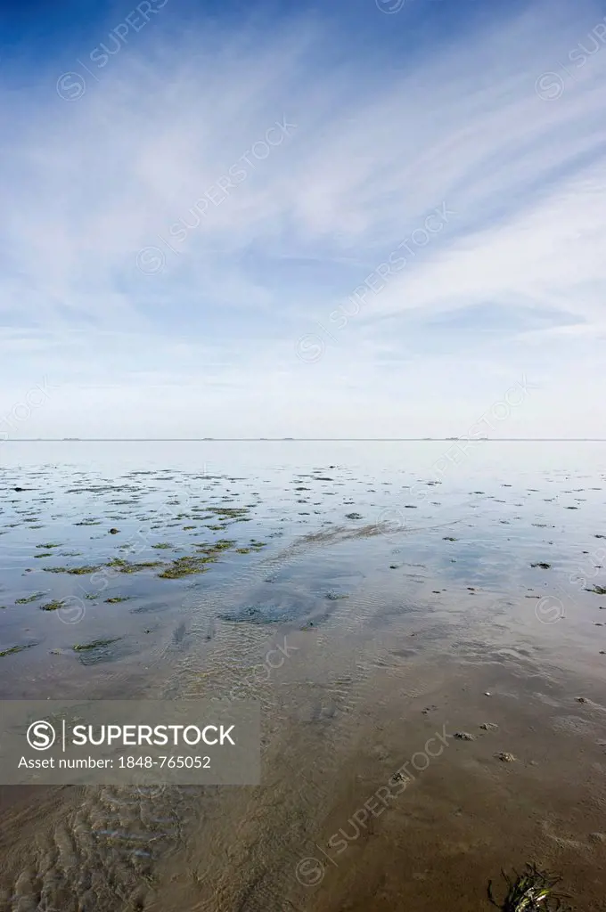 Wadden Sea near Wyk, Foehr Island, North Frisian Islands, Schleswig-Holstein, Germany, Europe