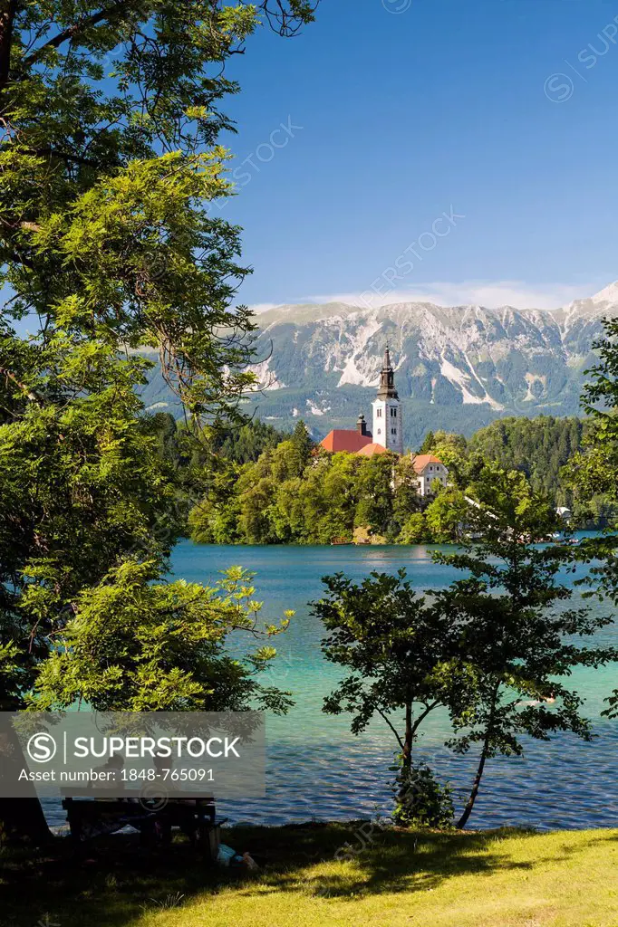 Lake Bled, looking towards the Pilgrimage Church on Bled Island and the Kamnik Alps, Triglav National Park, Slovenia, Europe