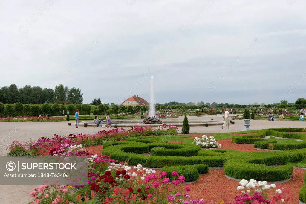 Rose garden, park, Rundale Palace, Rundale, Latvia, Baltic States, Europe