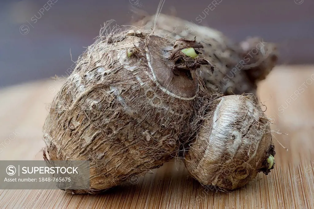 Taro or Eddoe corm (Colocasia esculenta), root vegetable, tropical potato substitute