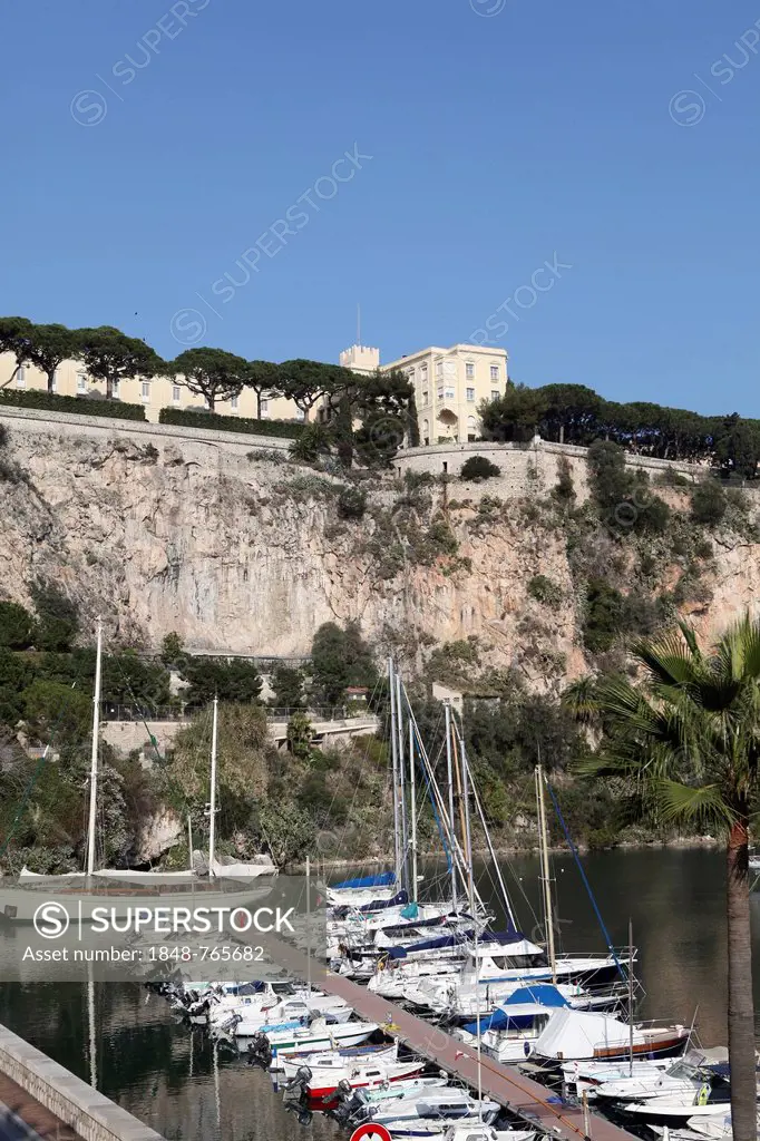 Sailboats moored in the port of Fontvieille, Port de Fontvieille, Rector's Palace, Prince's Palace, Principality of Monaco, Cote d'Azur, Mediterranean...