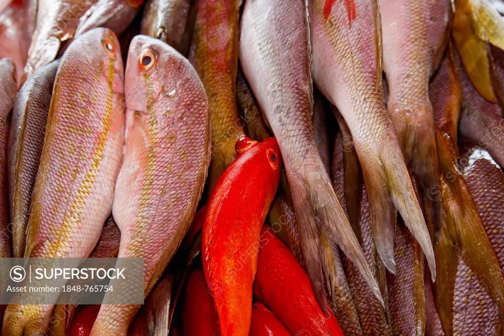 Fresh fish on sale at a fish market in Pointe à Pitre, Guadeloupe, Caribbean, Lesser Antilles