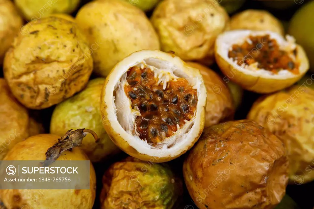 Yellow passion fruit from the tropics, Guadeloupe, Caribbean, Lesser Antilles