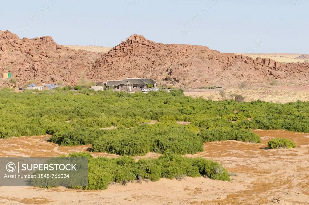 The Brandberg White Lady Lodge above the dry riverbed of the Ugab river, seen from a hill, Damaraland, Namibia, Africa