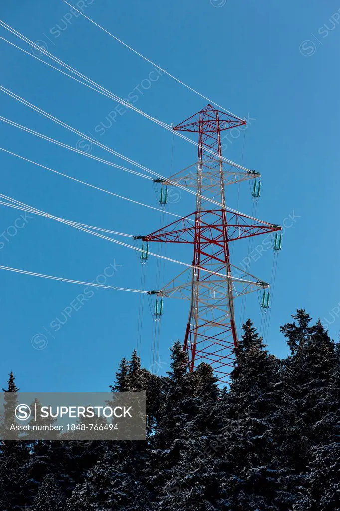 Electricity pylon, high-voltage pylon, power pole, with a coniferous forest