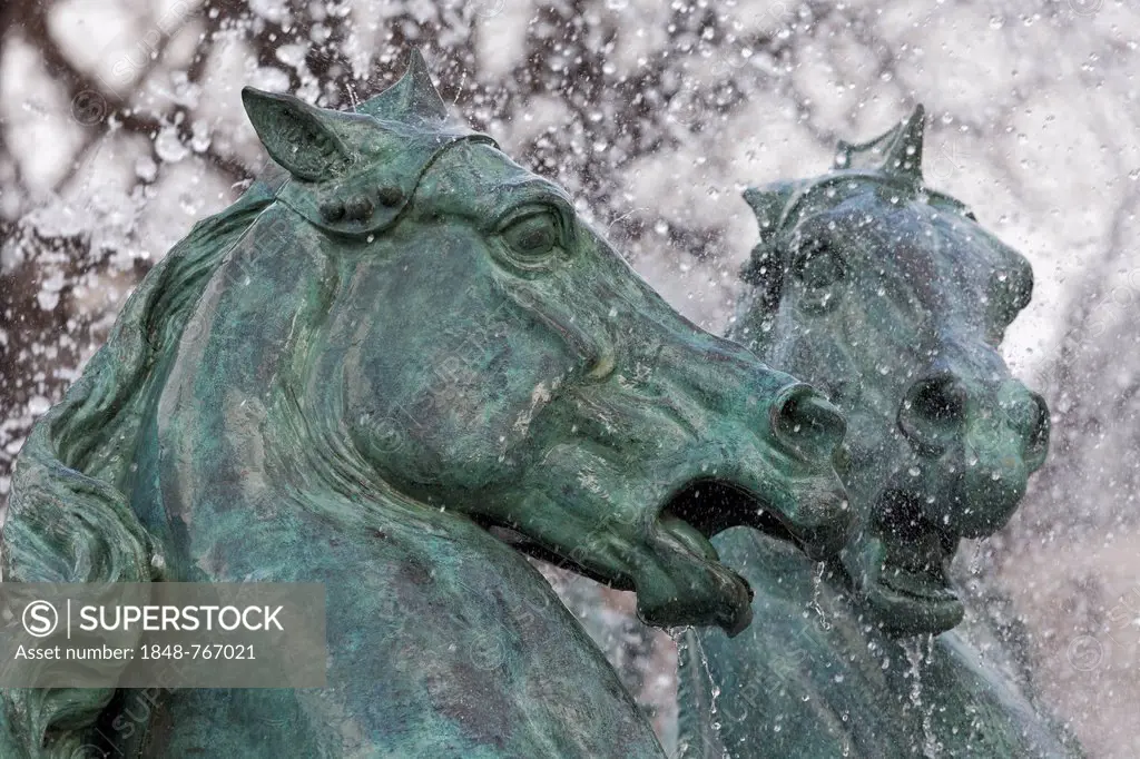 Heads of two horses, fountain figures, Fontaine Carpeaux or Fontaine de l'Observatoire fountain, Jardin Marco Polo park