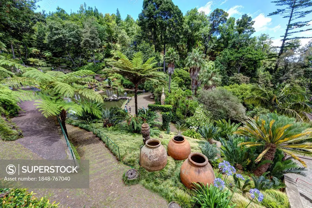 Jardim Botnico da Madeira or Botanical Garden, on the grounds of the farm of the Reid hotelier family, Jose Bernardo foundation