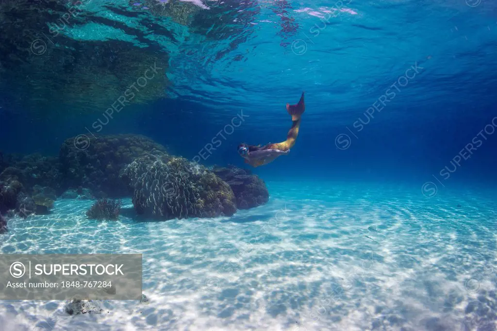 Mermaid, girl wearing a mermaid costume swimming in the shallow water of a lagoon, underwater