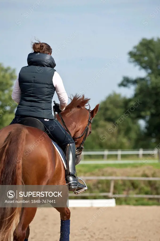Woman riding a horse, English riding