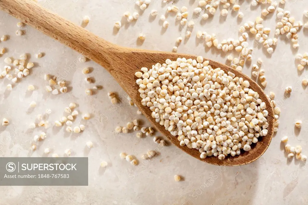 Pearl barley on a wooden spoon
