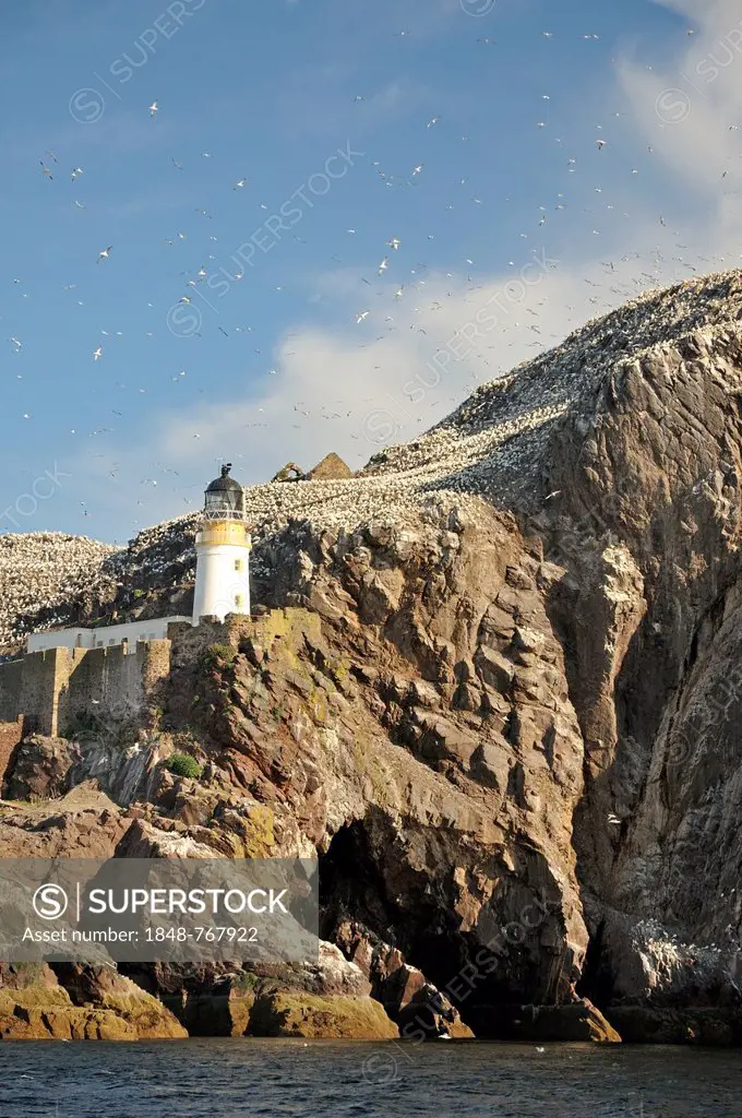 Old lighthouse on Bass Rock, bird conservation island with a Northern Gannet colony
