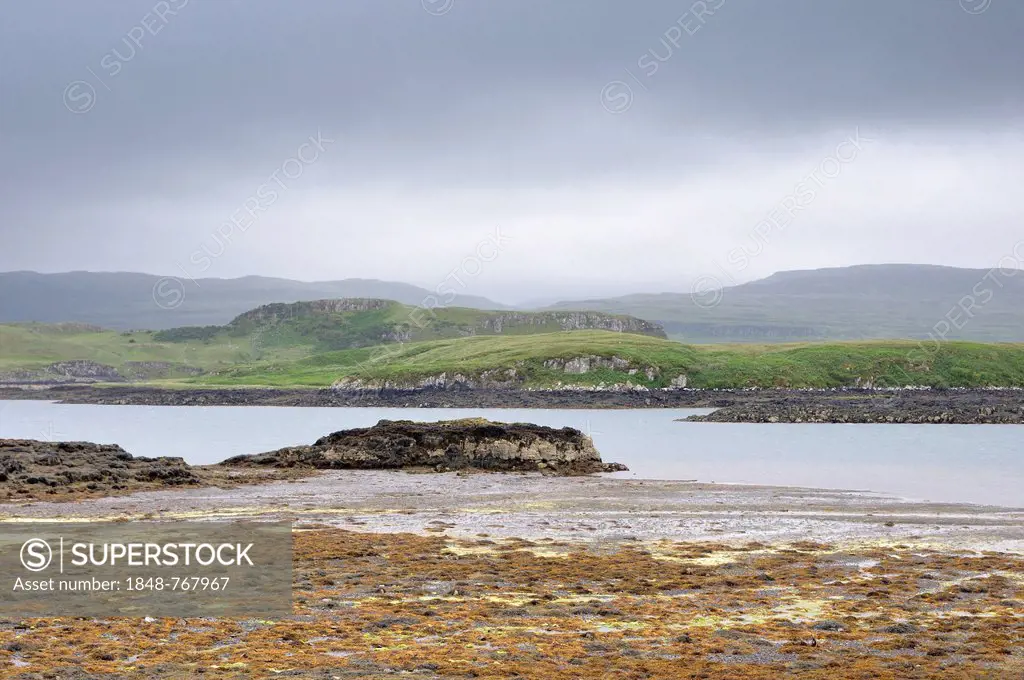 Coastal landscape at low tide