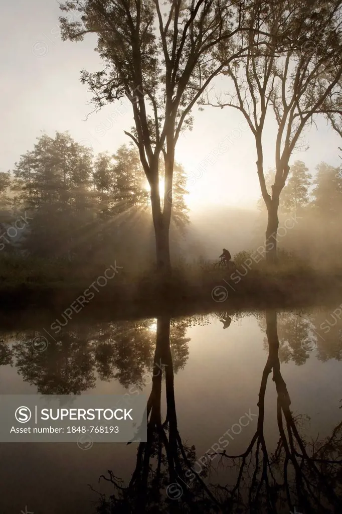 Cyclist on the towpath along the Canal des Vosges, formerly Canal de l'Est, at PK 100.5, with morning fog and morning sun