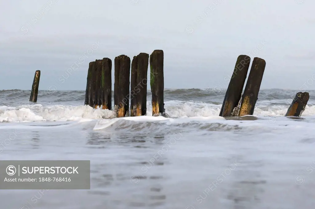 Old groynes on the North Sea shore