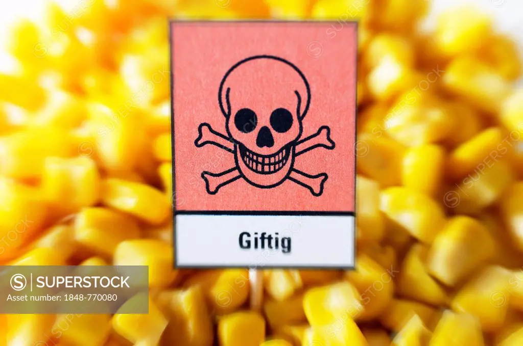 Maize kernels with a poison sign, symbolic image for feed scandal