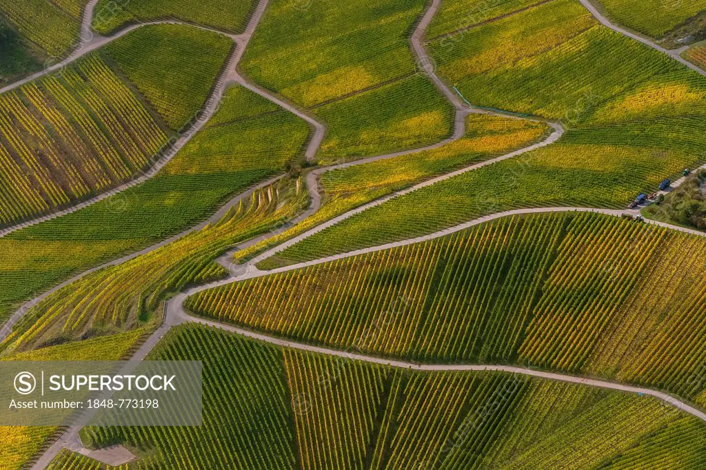 Aerial view, Moselle wine region, Moselle valley, vineyards of Schengen