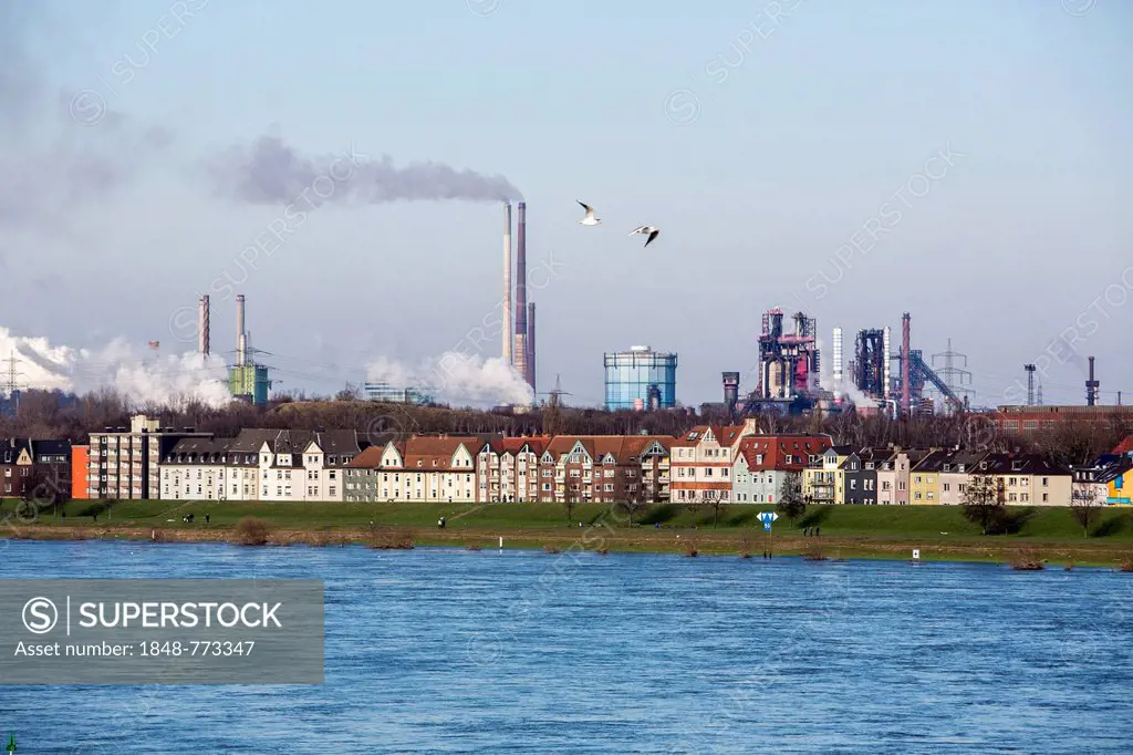Rhine at Duisburg-Laar with houses behind the dyke, industrial backdrop of the ThyssenKrupp steel mill in Duisburg-Bruckhausen at back