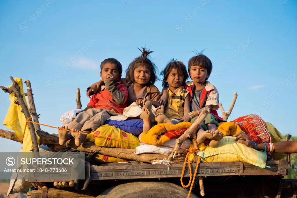 Four children sitting on a camel cart, Pushkar Camel Fair