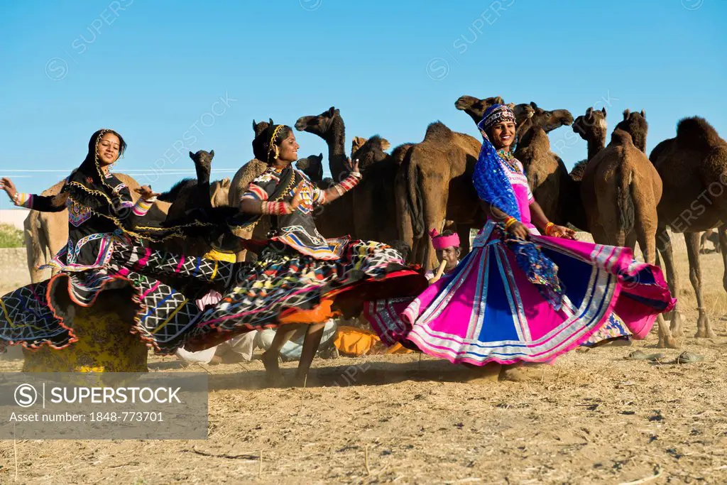 Three young women in colourful dresses dancing in front of a herd of camels, Pushkar Camel Fair